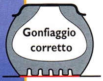 gonf_02.jpg